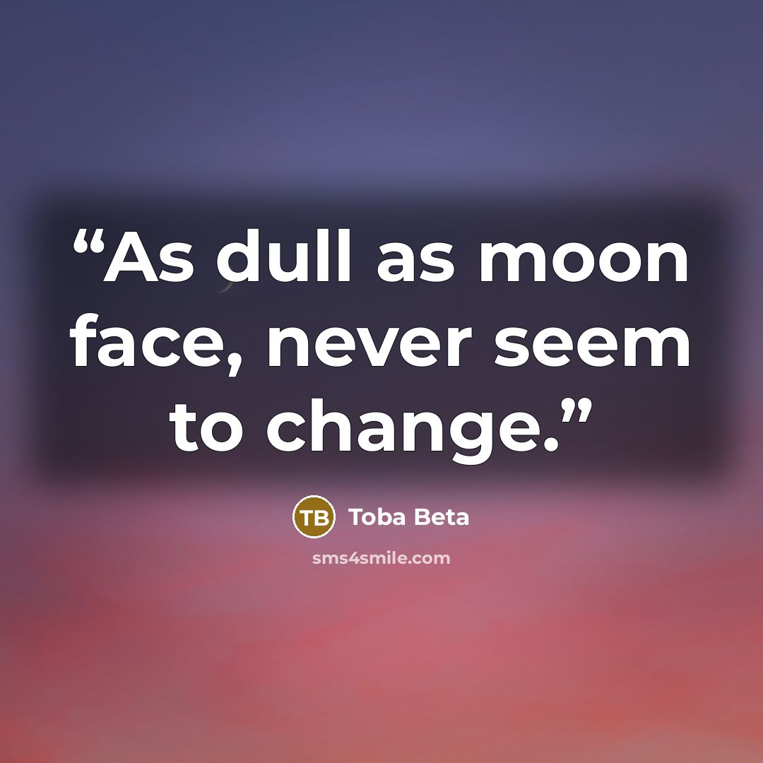“As dull as moon face, never seem to change.” quote by Toba Beta
