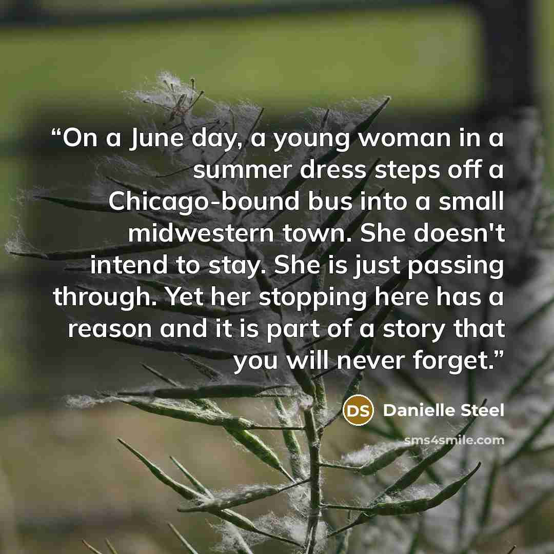 “On a June day, a young woman in a summer dress steps off a Chicago-bound bus into a small midwestern town. She doesn't intend to stay. She is just passing through. Yet her stopping here has a reason and it is part of a story that you will never forget.” quote by Danielle Steel