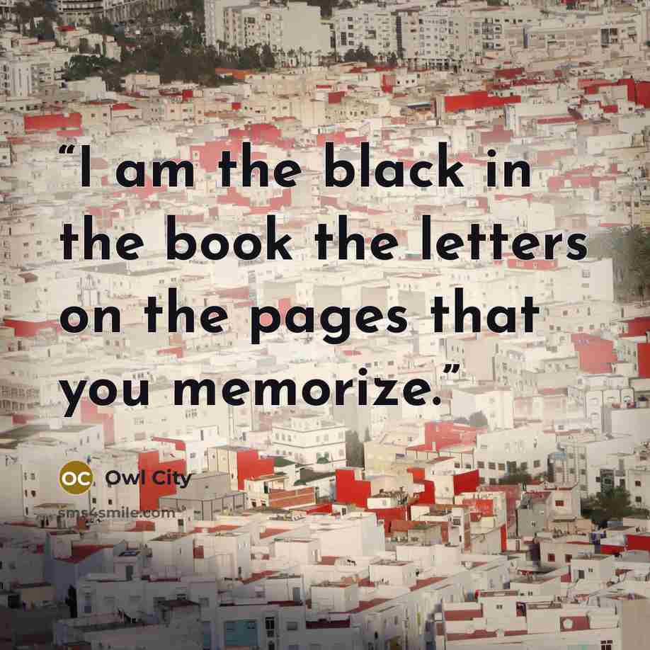 “I am the black in the book the letters on the pages that you memorize.” quote by Owl City
