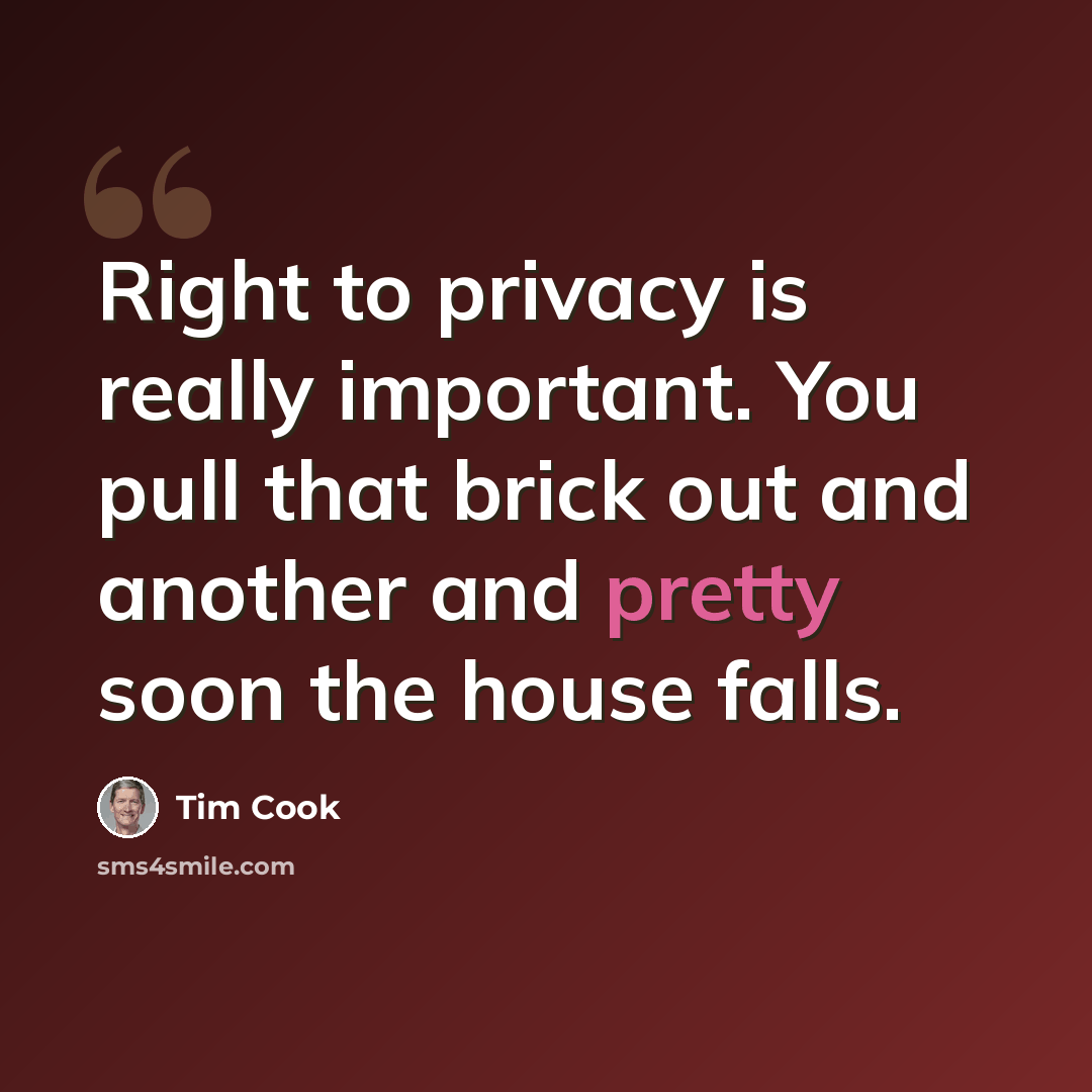 “Right to privacy is really important. You pull that brick out and another and pretty soon the house falls.” quote by Tim Cook