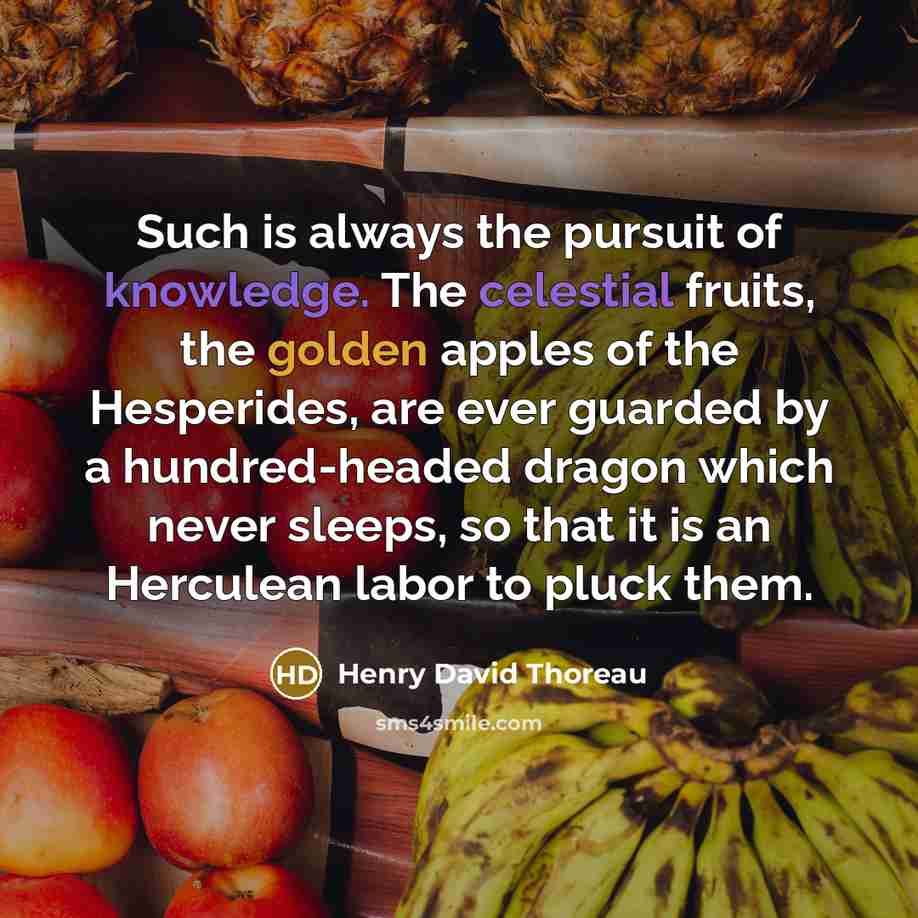 “Such is always the pursuit of knowledge. The celestial fruits, the golden apples of the Hesperides, are ever guarded by a hundred-headed dragon which never sleeps, so that it is an Herculean labor to pluck them.” quote by Henry David Thoreau