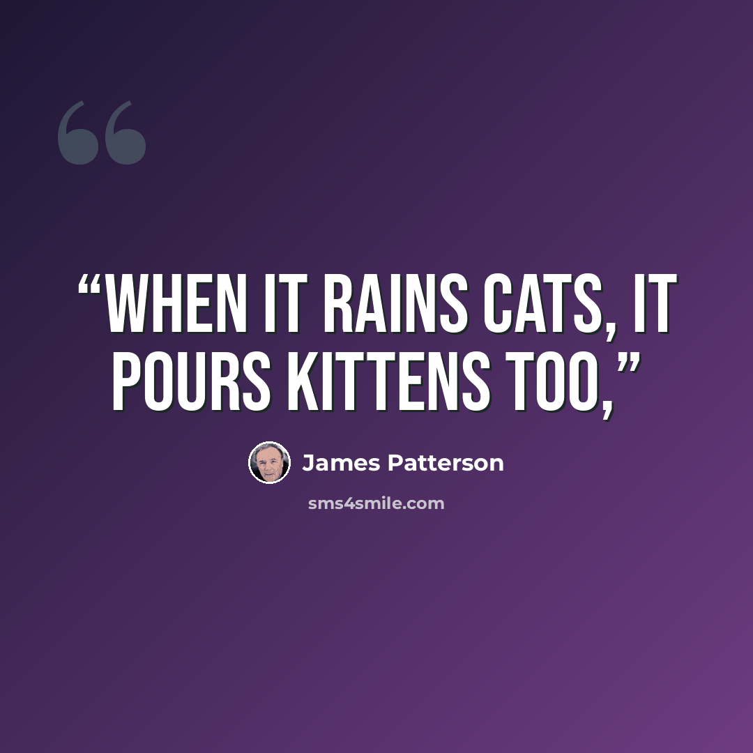 “When it rains cats, it pours kittens too,” quote by James Patterson
