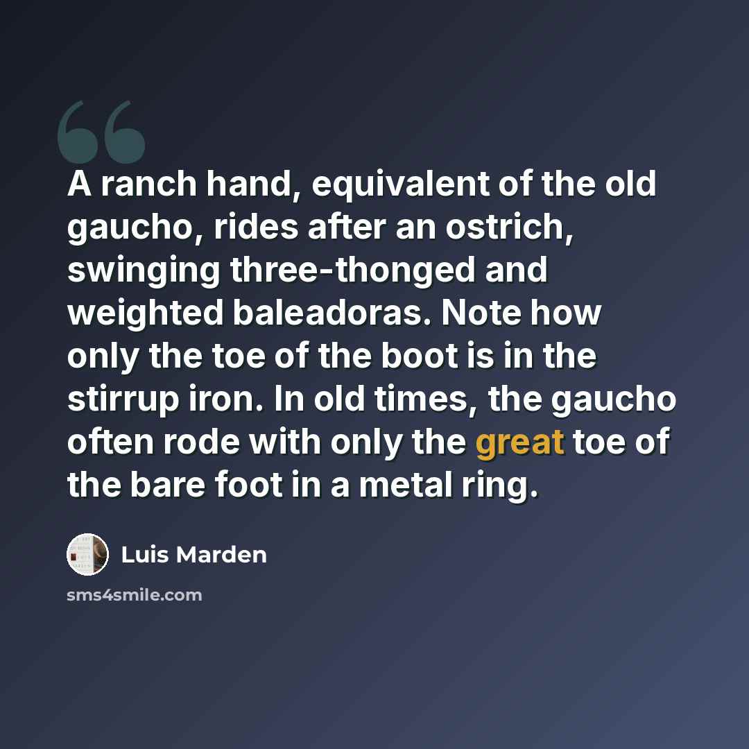 “A ranch hand, equivalent of the old gaucho, rides after an ostrich, swinging three-thonged and weighted baleadoras. Note how only the toe of the boot is in the stirrup iron. In old times, the gaucho often rode with only the great toe of the bare foot in a metal ring.” quote by Luis Marden