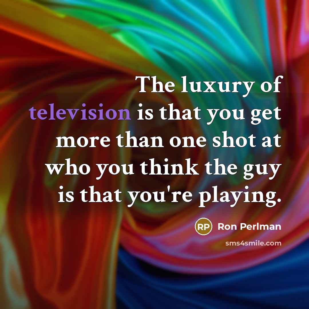 “The luxury of television is that you get more than one shot at who you think the guy is that you're playing.” quote by Ron Perlman