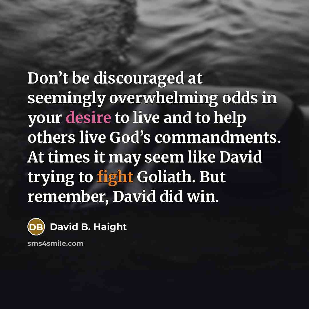 “Don’t be discouraged at seemingly overwhelming odds in your desire to live and to help others live God’s commandments. At times it may seem like David trying to fight Goliath. But remember, David did win.” quote by David B. Haight