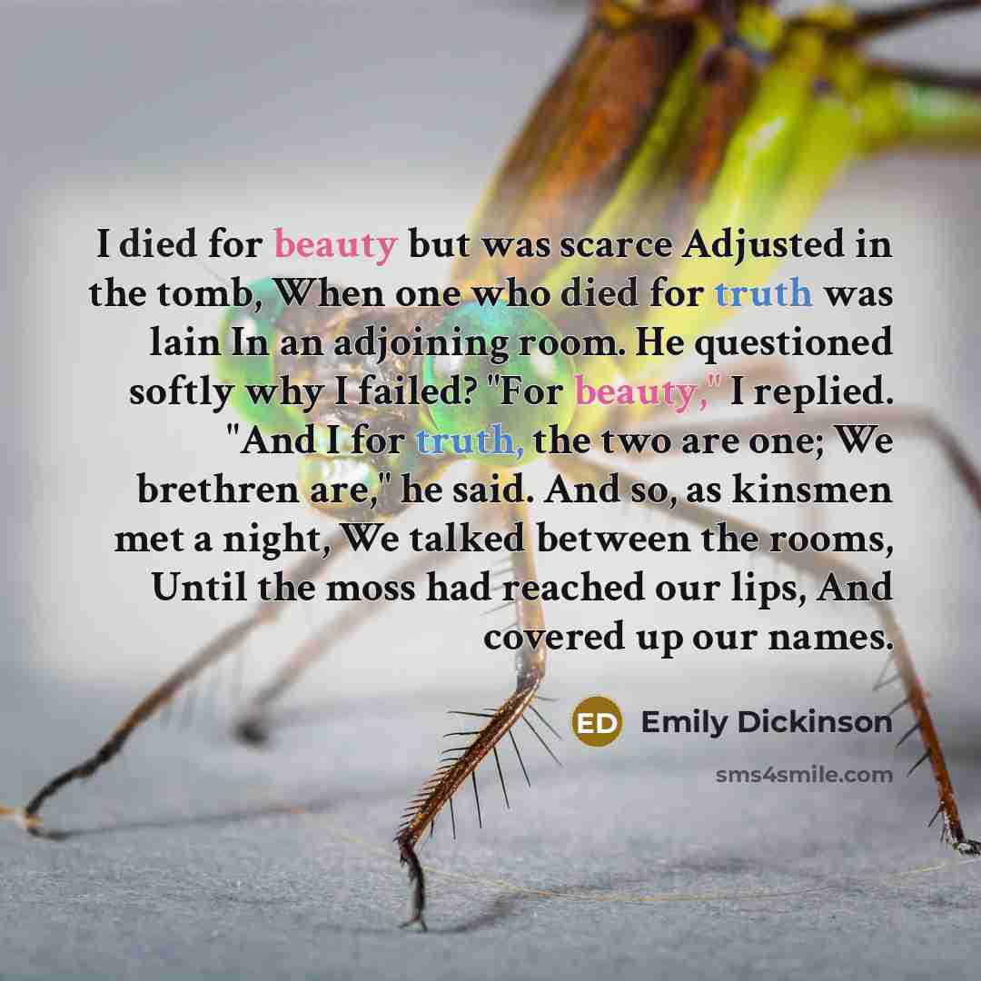 “I died for beauty but was scarce Adjusted in the tomb, When one who died for truth was lain In an adjoining room. He questioned softly why I failed? "For beauty," I replied. "And I for truth, the two are one; We brethren are," he said. And so, as kinsmen met a night, We talked between the rooms…” quote by Emily Dickinson