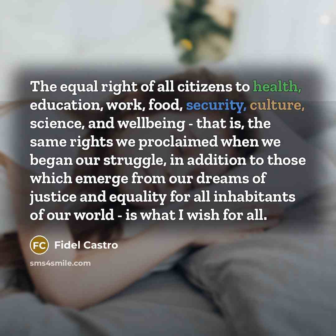 “The equal right of all citizens to health, education, work, food, security, culture, science, and wellbeing - that is, the same rights we proclaimed when we began our struggle, in addition to those which emerge from our dreams of justice and equality for all inhabitants of our world - is what I…” quote by Fidel Castro