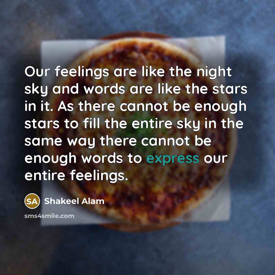 “Our feelings are like the night sky and words are like the stars in it. As there cannot be enough stars to fill the entire sky in the same way there cannot be enough words to express our entire feelings.” quote by Shakeel Alam