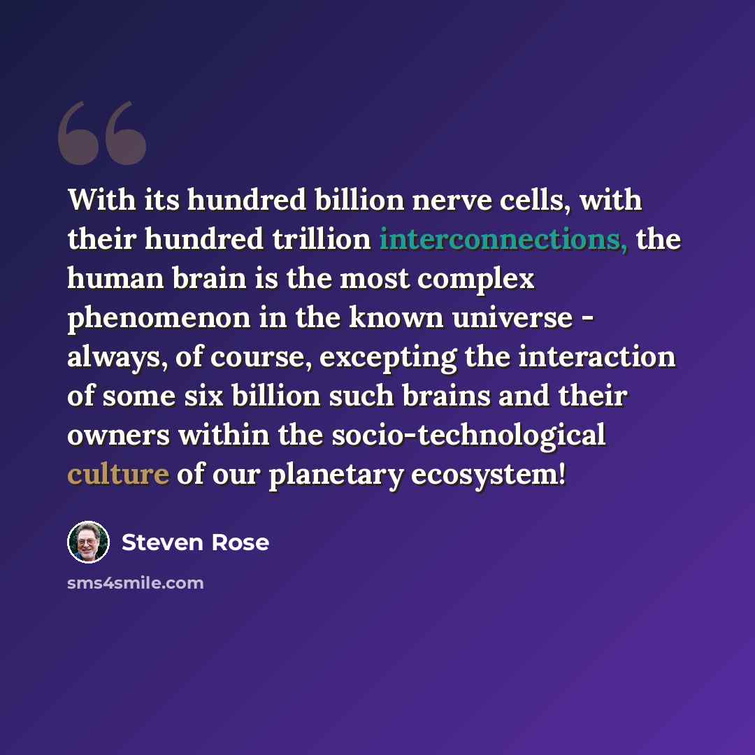 “With its hundred billion nerve cells, with their hundred trillion interconnections, the human brain is the most complex phenomenon in the known universe - always, of course, excepting the interaction of some six billion such brains and their owners within the socio-technological culture of our…” quote by Steven Rose