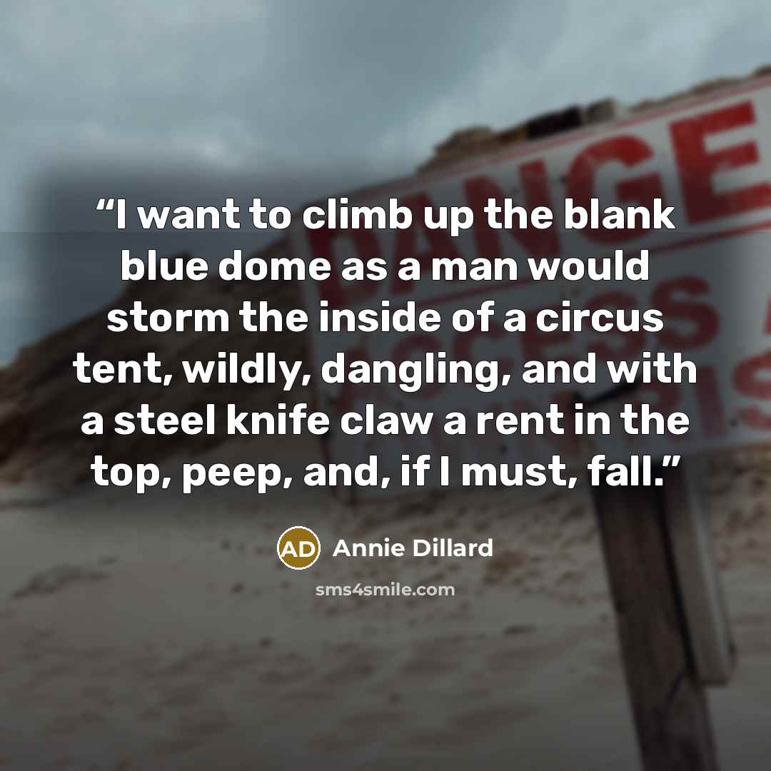 “I want to climb up the blank blue dome as a man would storm the inside of a circus tent, wildly, dangling, and with a steel knife claw a rent in the top, peep, and, if I must, fall.” quote by Annie Dillard
