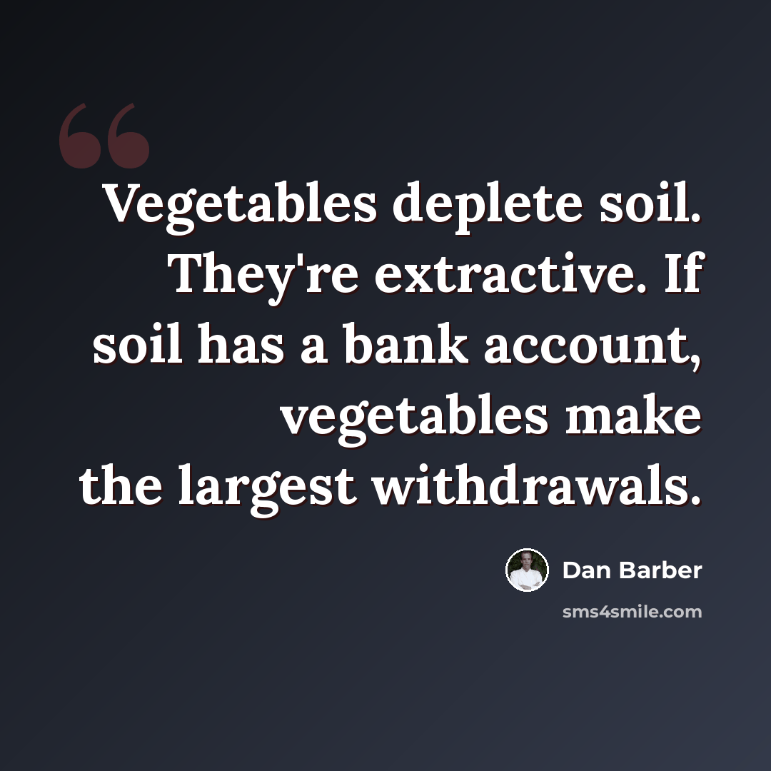 “Vegetables deplete soil. They're extractive. If soil has a bank account, vegetables make the largest withdrawals.” quote by Dan Barber