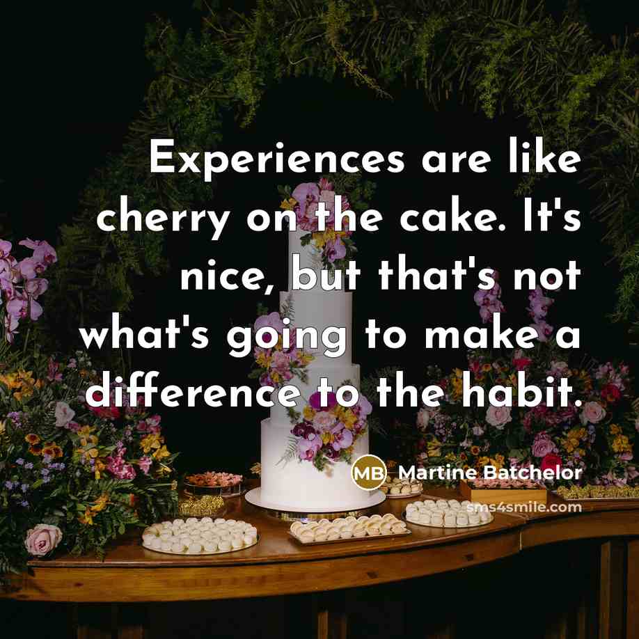 “Experiences are like cherry on the cake. It's nice, but that's not what's going to make a difference to the habit.” quote by Martine Batchelor