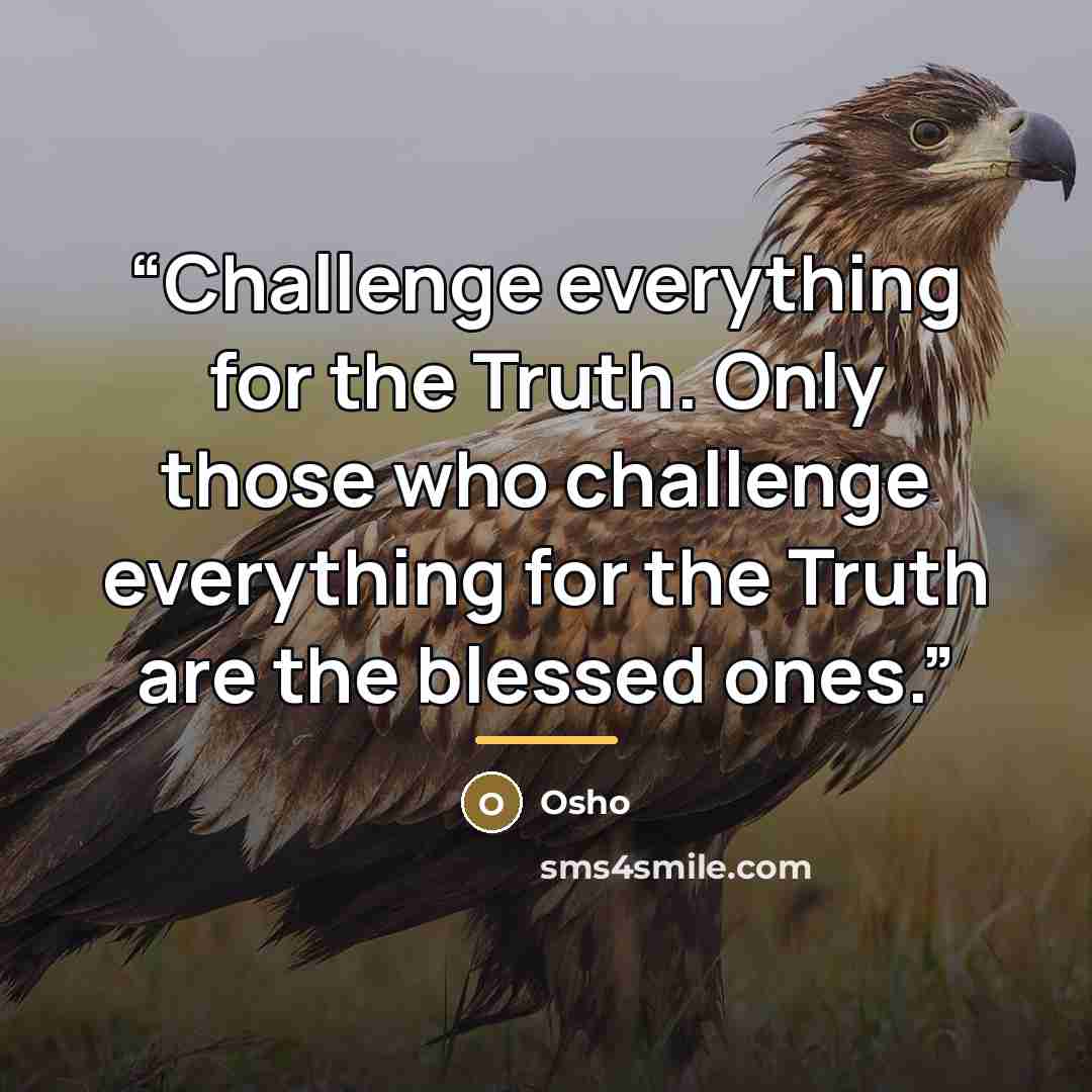 “Challenge everything for the Truth. Only those who challenge everything for the Truth are the blessed ones.” quote by Osho