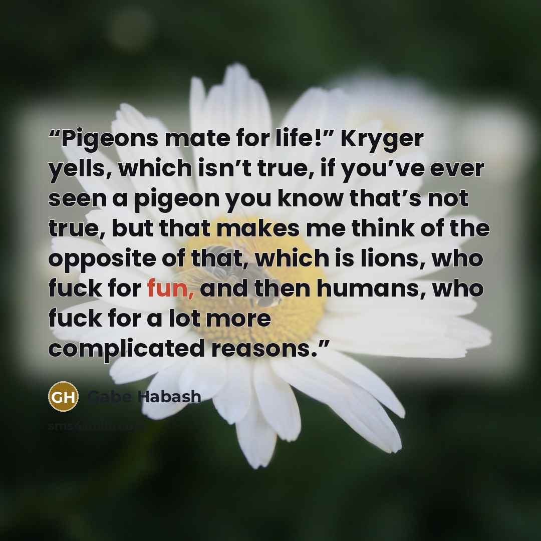 “Pigeons mate for life!” Kryger yells, which isn’t true, if you’ve ever seen a pigeon you know that’s not true, but that makes me think of the opposite of that, which is lions, who fuck for fun, and then humans, who fuck for a lot more complicated reasons.” quote by Gabe Habash