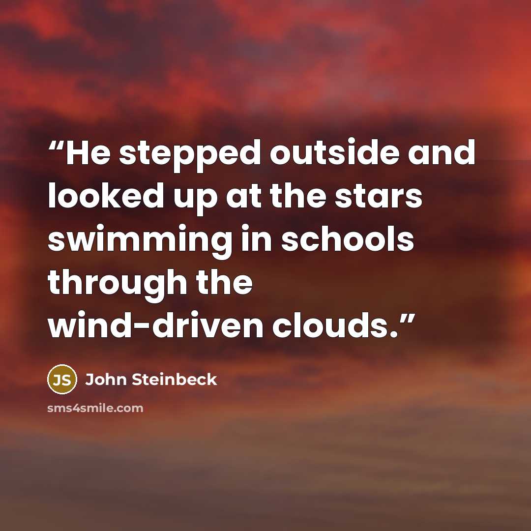 “He stepped outside and looked up at the stars swimming in schools through the wind-driven clouds.” quote by John Steinbeck