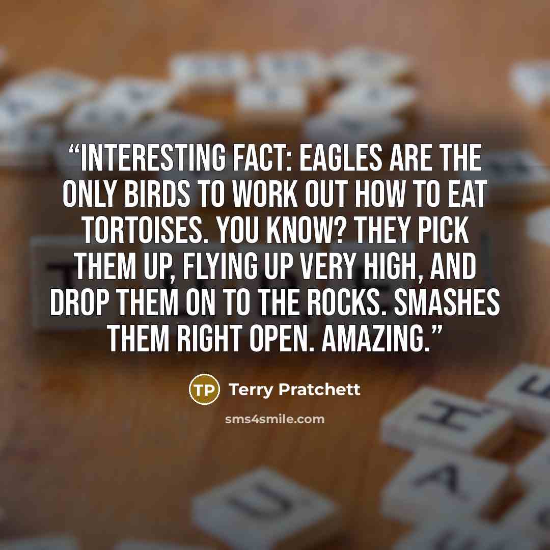 “Interesting fact: eagles are the only birds to work out how to eat tortoises. You know? They pick them up, flying up very high, and drop them on to the rocks. Smashes them right open. Amazing.” quote by Terry Pratchett