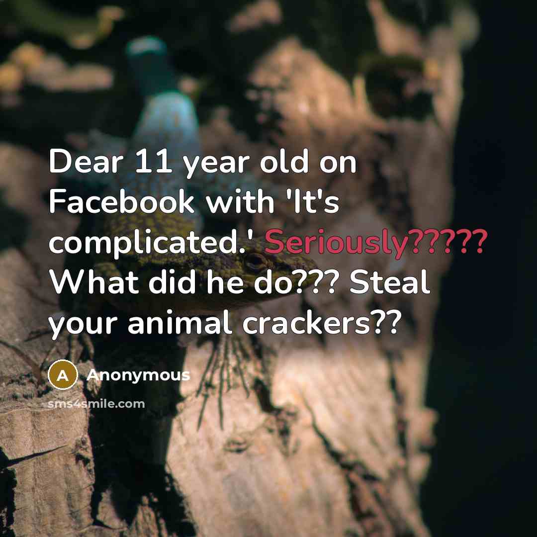 “Dear 11 year old on Facebook with 'It's complicated.' Seriously????? What did he do??? Steal your animal crackers??” quote by Anonymous