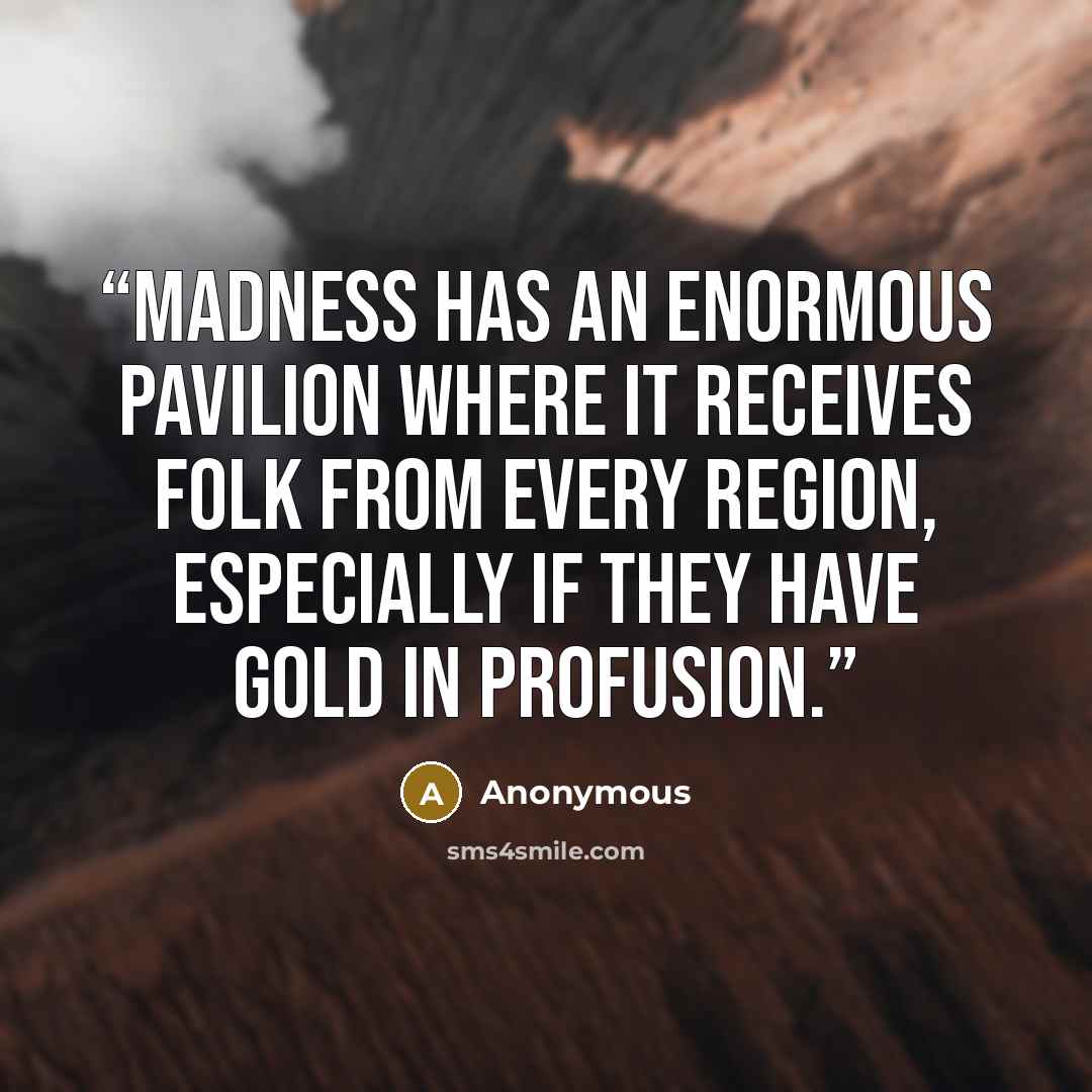 “Madness has an enormous pavilion Where it receives folk from every region, Especially if they have gold in profusion.” quote by Anonymous