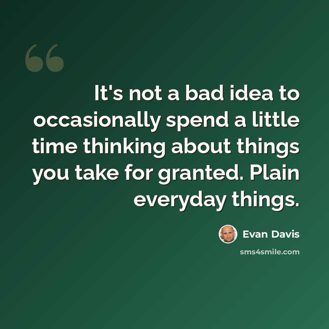 “It's not a bad idea to occasionally spend a little time thinking about things you take for granted. Plain everyday things.” quote by Evan Davis