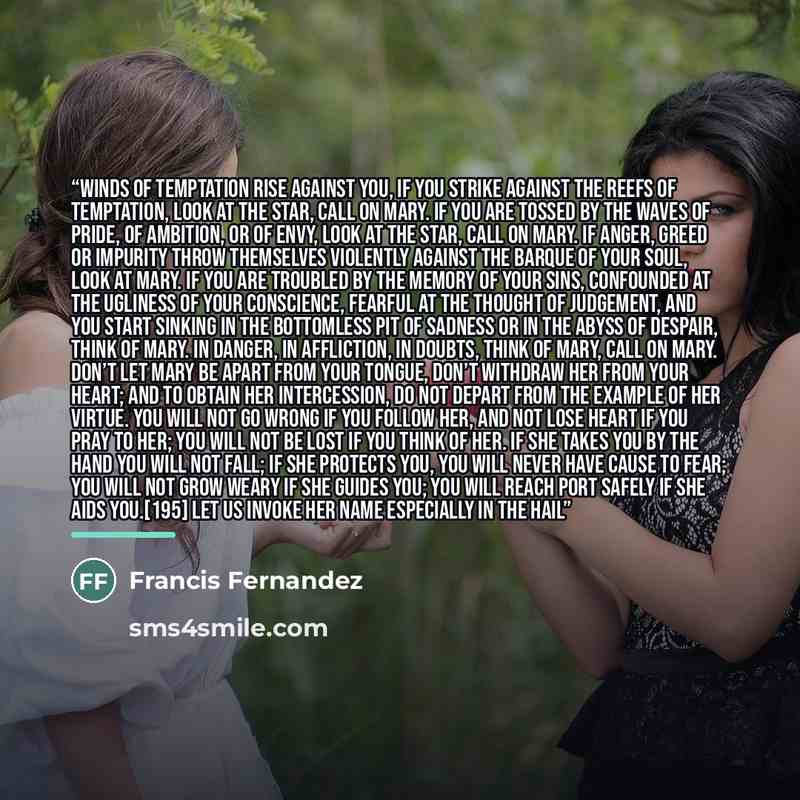 “winds of temptation rise against you, if you strike against the reefs of temptation, look at the star, call on Mary. If you are tossed by the waves of pride, of ambition, or of envy, look at the star, call on Mary. If anger, greed or impurity throw themselves violently against the barque of your…” quote by Francis Fernandez