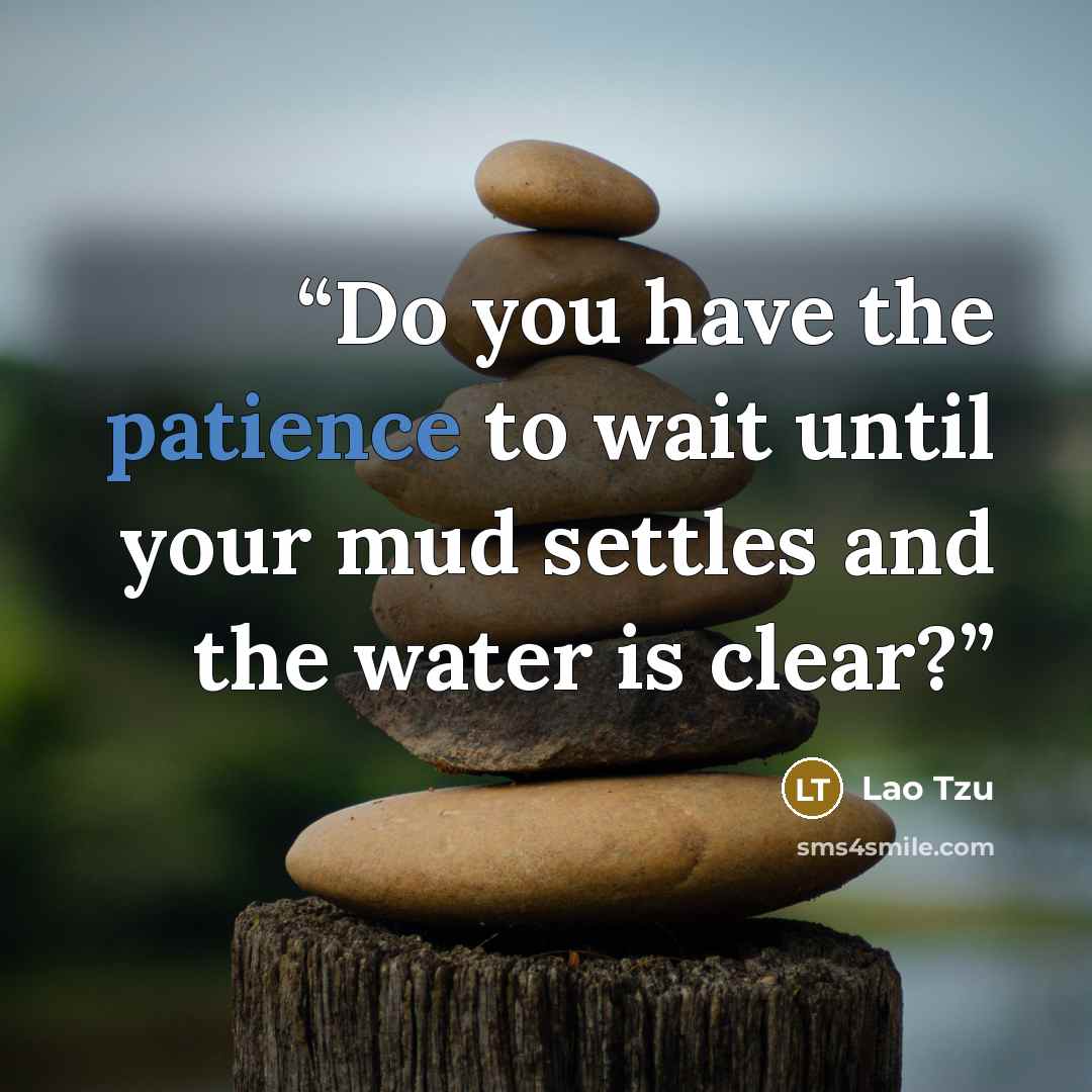 “Do you have the patience to wait until your mud settles and the water is clear?” quote by Lao Tzu