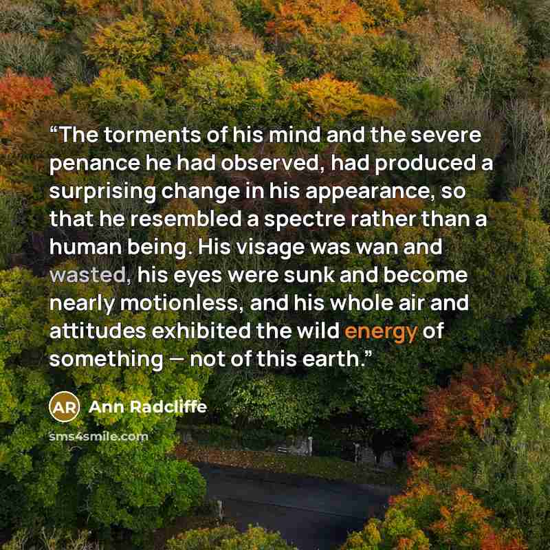“The torments of his mind and the severe penance he had observed, had produced a surprising change in his appearance, so that he resembled a spectre rather than a human being. His visage was wan and wasted, his eyes were sunk and become nearly motionless, and his whole air and attitudes exhibited…” quote by Ann Radcliffe