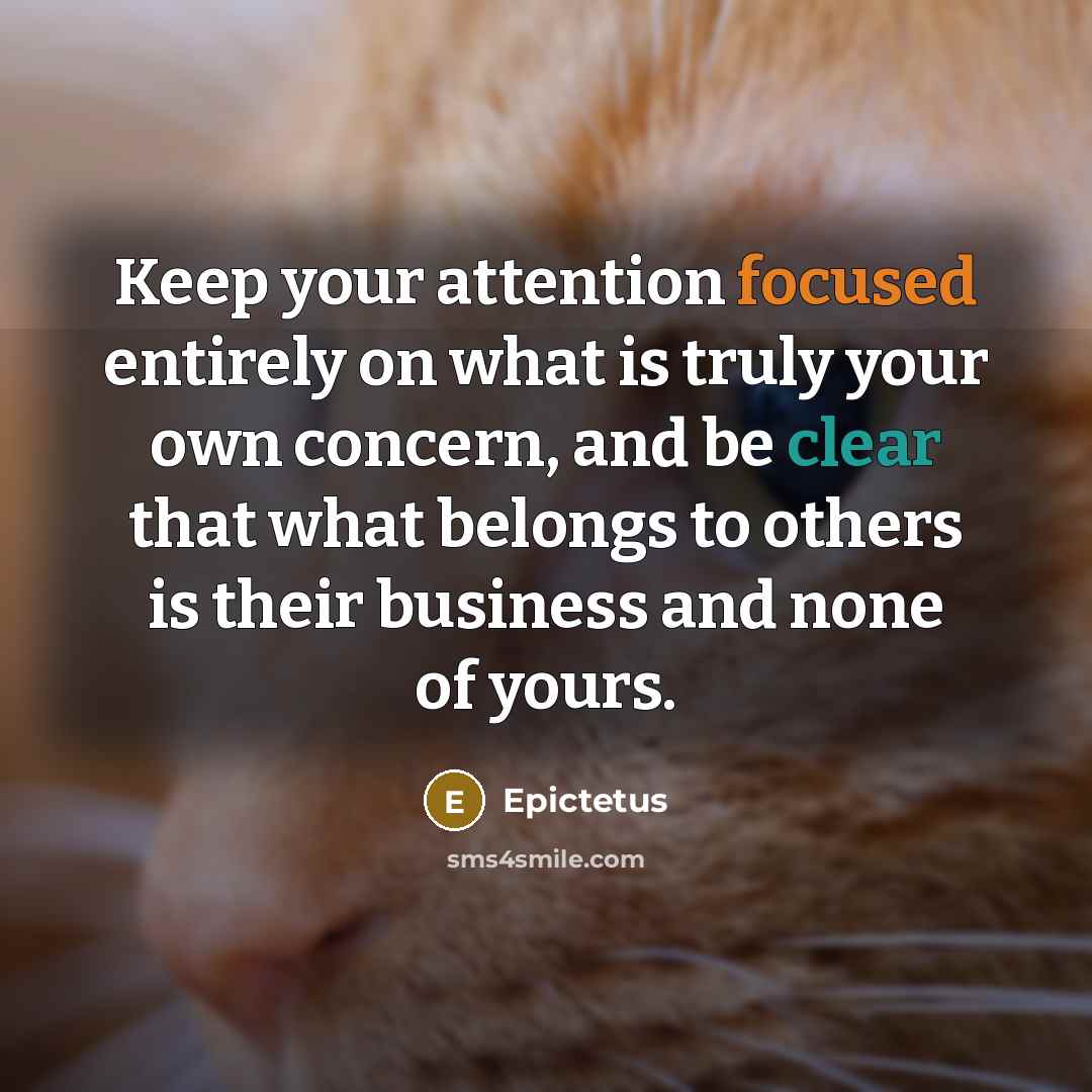 “Keep your attention focused entirely on what is truly your own concern, and be clear that what belongs to others is their business and none of yours.” quote by Epictetus