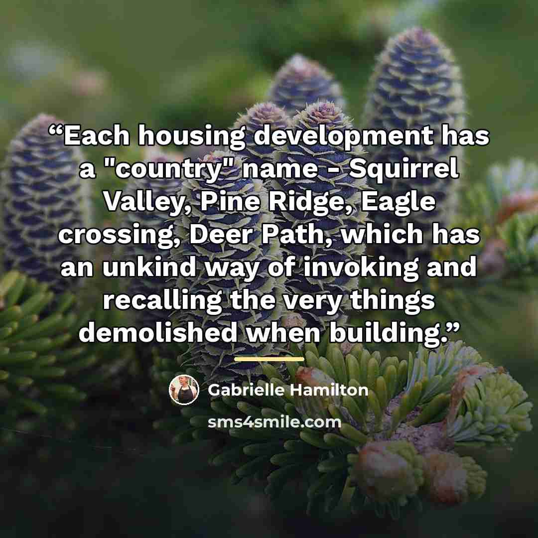 “Each housing development has a "country" name - Squirrel Valley, Pine Ridge, Eagle crossing, Deer Path, which has an unkind way of invoking and recalling the very things demolished when building.” quote by Gabrielle Hamilton