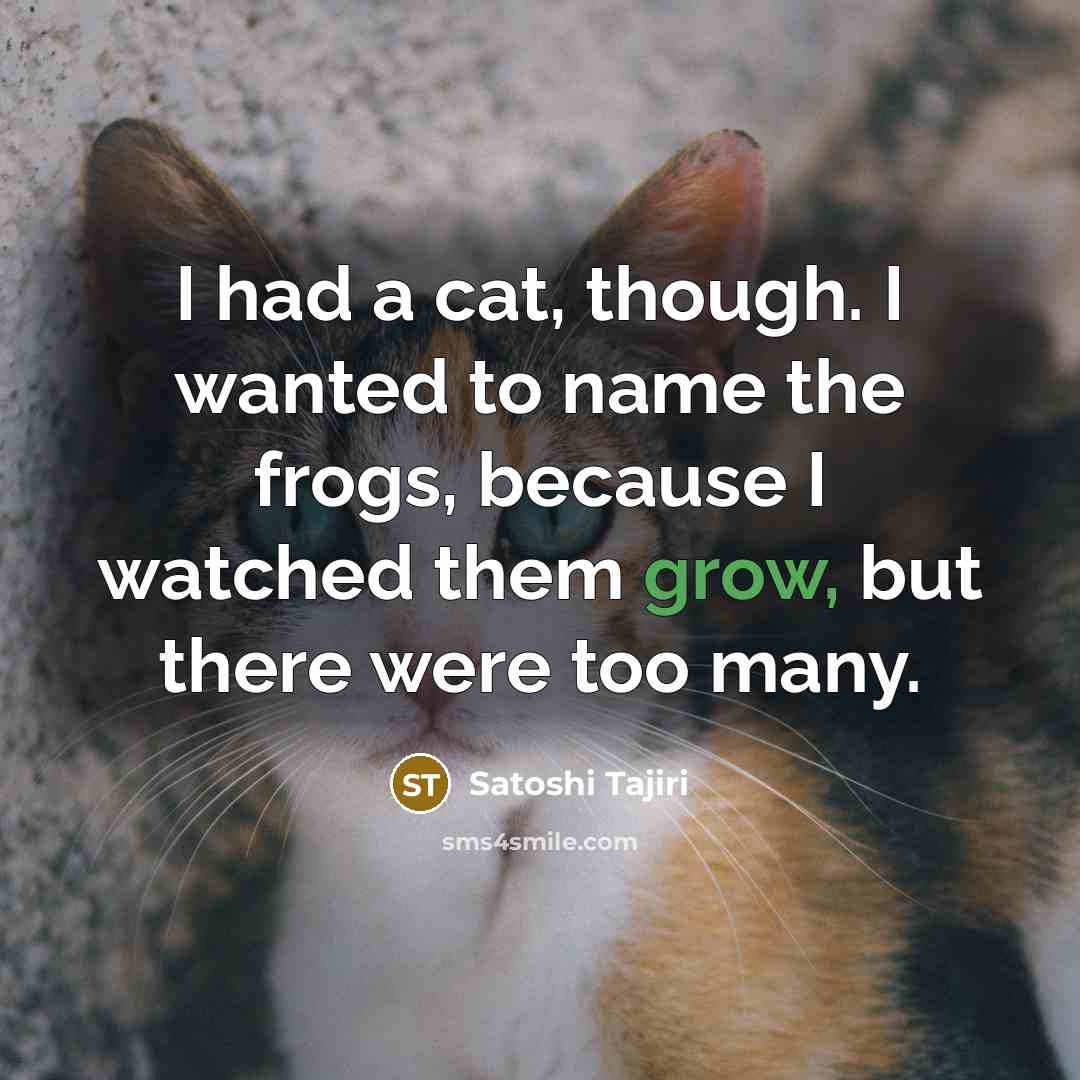 “I had a cat, though. I wanted to name the frogs, because I watched them grow, but there were too many.” quote by Satoshi Tajiri