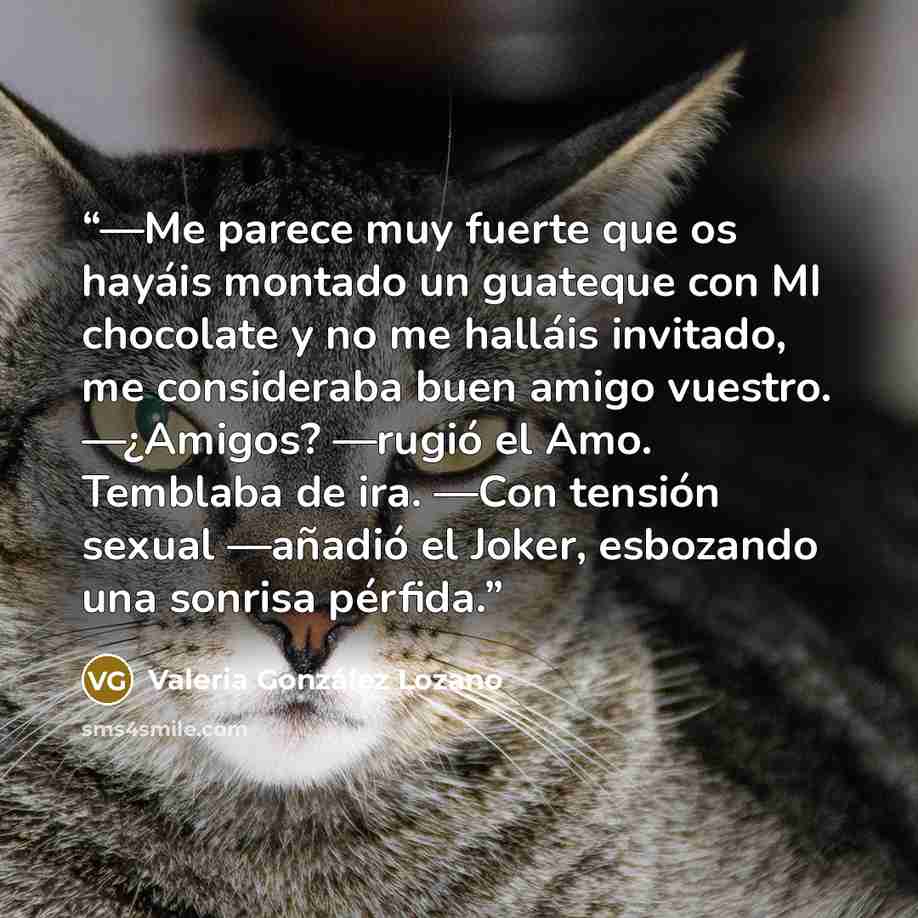 “―Me parece muy fuerte que os hayáis montado un guateque con MI chocolate y no me halláis invitado, me consideraba buen amigo vuestro. ―¿Amigos? ―rugió el Amo. Temblaba de ira. ―Con tensión sexual ―añadió el Joker, esbozando una sonrisa pérfida.” quote by Valeria González Lozano
