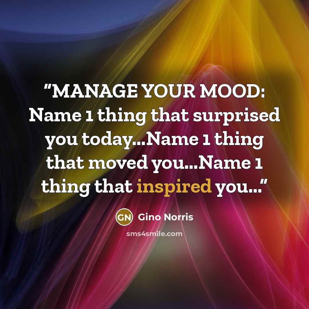 “MANAGE YOUR MOOD: Name 1 thing that surprised you today...Name 1 thing that moved you...Name 1 thing that inspired you...” quote by Gino Norris