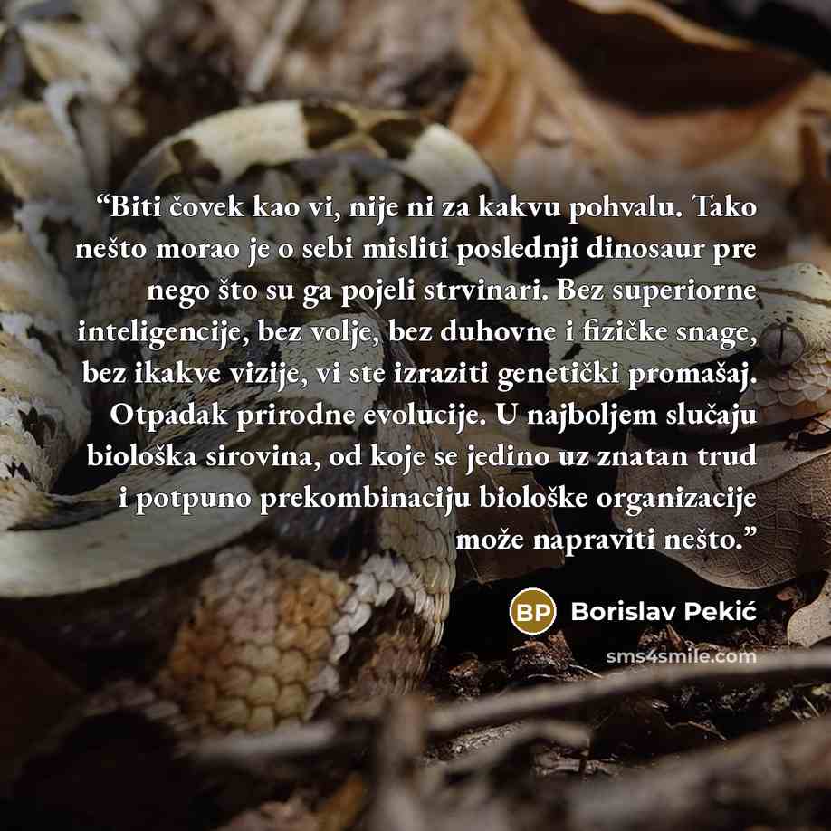 “Biti čovek kao vi, nije ni za kakvu pohvalu. Tako nešto morao je o sebi misliti poslednji dinosaur pre nego što su ga pojeli strvinari. Bez superiorne inteligencije, bez volje, bez duhovne i fizičke snage, bez ikakve vizije, vi ste izraziti genetički promašaj. Otpadak prirodne evolucije. U…” quote by Borislav Pekić