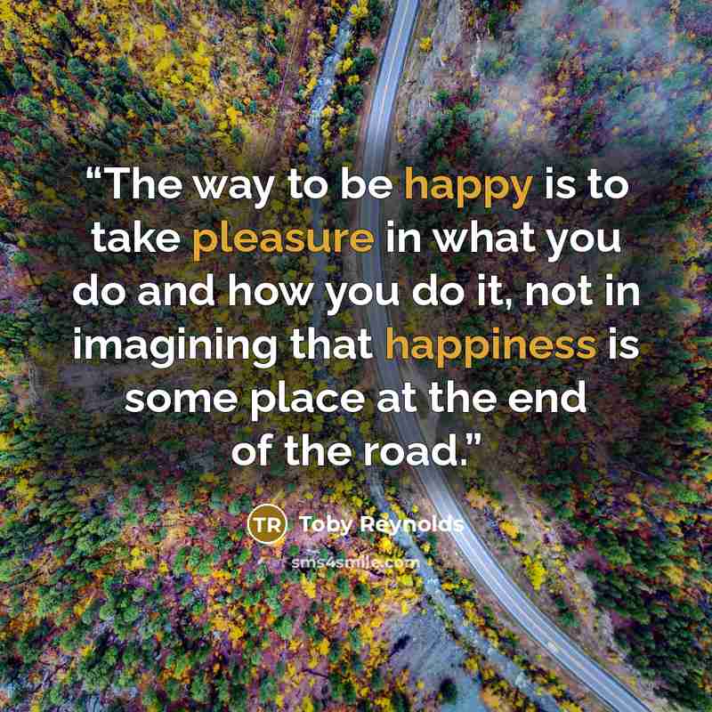 “The way to be happy is to take pleasure in what you do and how you do it, not in imagining that happiness is some place at the end of the road.” quote by Toby Reynolds