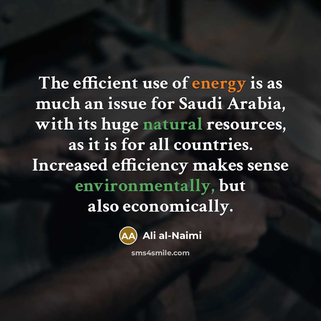 “The efficient use of energy is as much an issue for Saudi Arabia, with its huge natural resources, as it is for all countries. Increased efficiency makes sense environmentally, but also economically.” quote by Ali al-Naimi