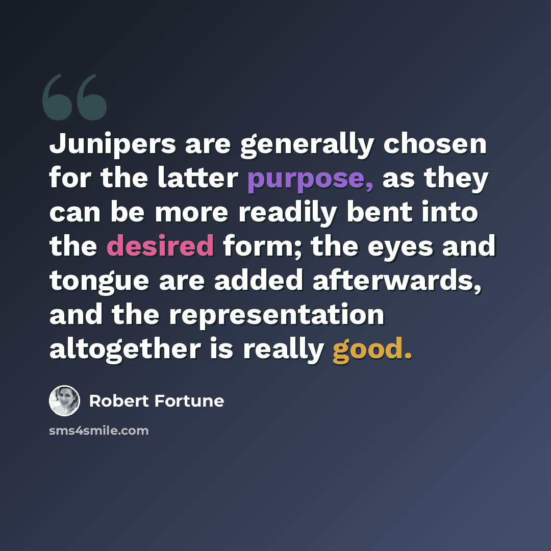 “Junipers are generally chosen for the latter purpose, as they can be more readily bent into the desired form; the eyes and tongue are added afterwards, and the representation altogether is really good.” quote by Robert Fortune