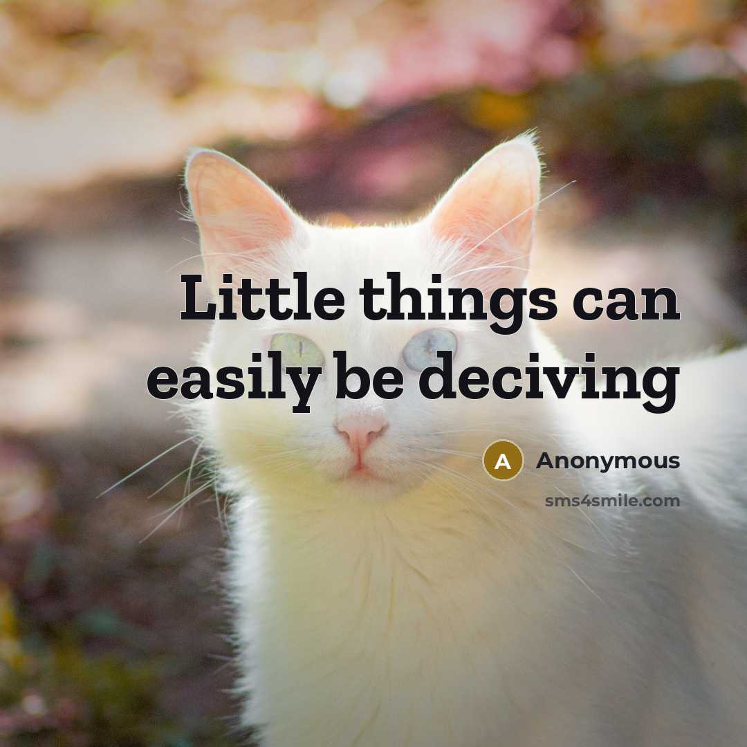 “Little things can easily be deciving” quote by Anonymous