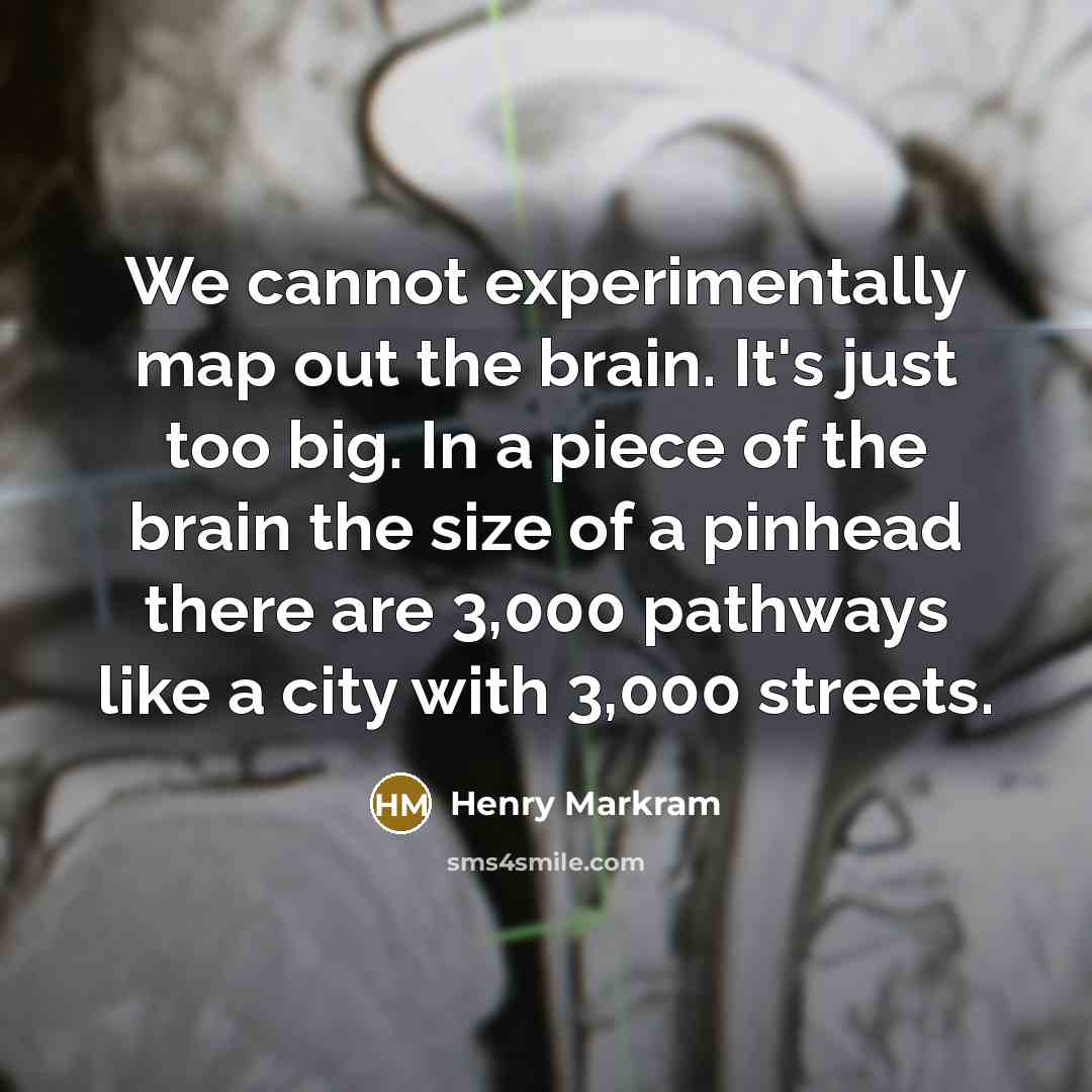 “We cannot experimentally map out the brain. It's just too big. In a piece of the brain the size of a pinhead there are 3,000 pathways like a city with 3,000 streets.” quote by Henry Markram