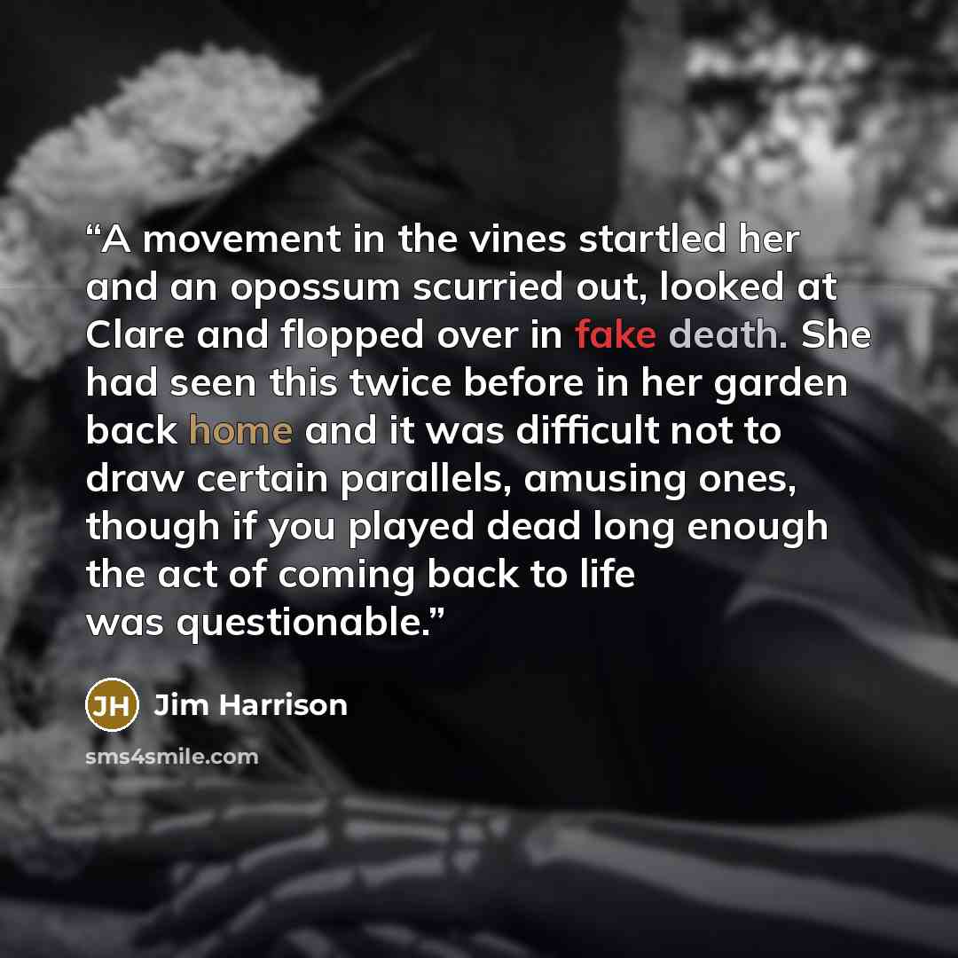 “A movement in the vines startled her and an opossum scurried out, looked at Clare and flopped over in fake death. She had seen this twice before in her garden back home and it was difficult not to draw certain parallels, amusing ones, though if you played dead long enough the act of coming back to…” quote by Jim Harrison