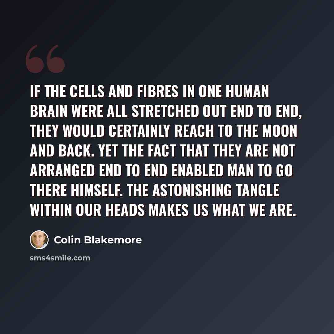 “If the cells and fibres in one human brain were all stretched out end to end, they would certainly reach to the moon and back. Yet the fact that they are not arranged end to end enabled man to go there himself. The astonishing tangle within our heads makes us what we are.” quote by Colin Blakemore
