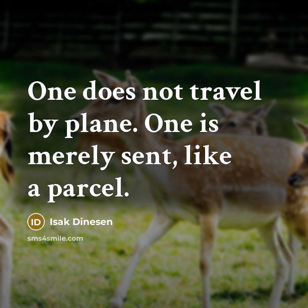 “One does not travel by plane. One is merely sent, like a parcel.” quote by Isak Dinesen