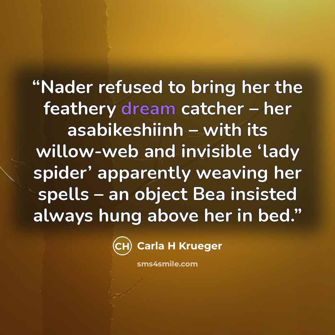 “Nader refused to bring her the feathery dream catcher – her asabikeshiinh – with its willow-web and invisible ‘lady spider’ apparently weaving her spells – an object Bea insisted always hung above her in bed.” quote by Carla H Krueger