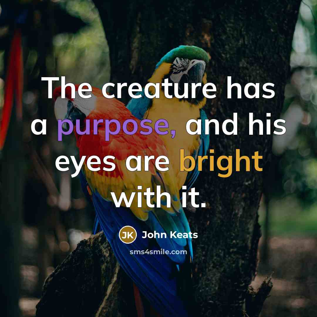 “The creature has a purpose, and his eyes are bright with it.” quote by John Keats