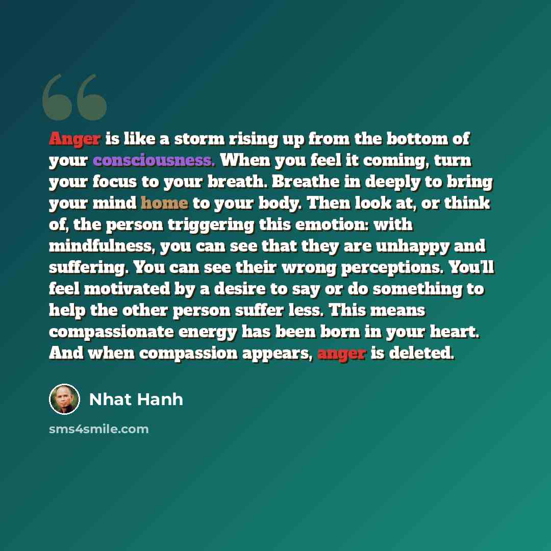 “Anger is like a storm rising up from the bottom of your consciousness. When you feel it coming, turn your focus to your breath. Breathe in deeply to bring your mind home to your body. Then look at, or think of, the person triggering this emotion: with mindfulness, you can see that they are unhappy…” quote by Nhat Hanh