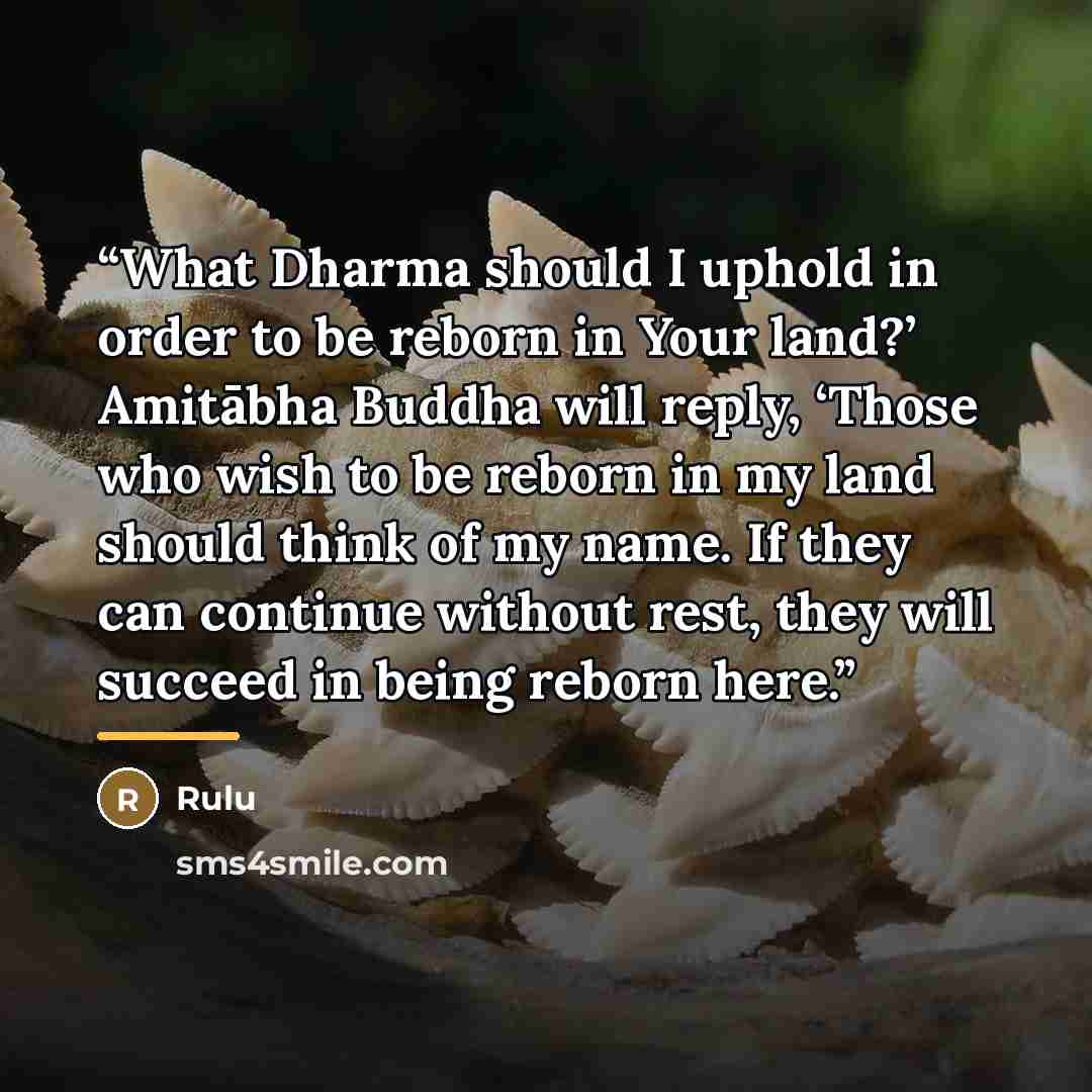 “What Dharma should I uphold in order to be reborn in Your land?’ Amitābha Buddha will reply, ‘Those who wish to be reborn in my land should think of my name. If they can continue without rest, they will succeed in being reborn here.” quote by Rulu