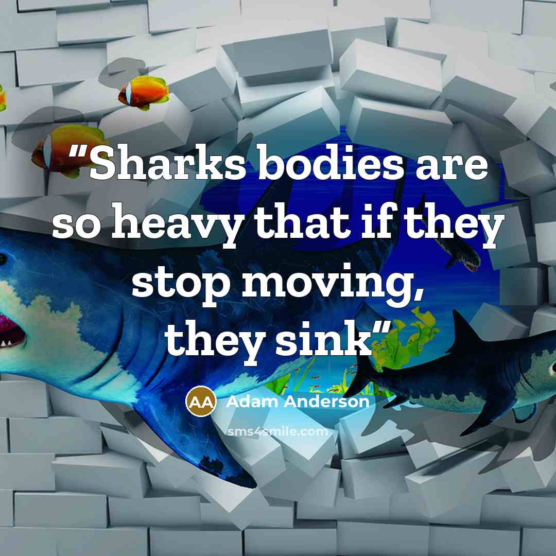 “Sharks bodies are so heavy that if they stop moving, they sink” quote by Adam Anderson
