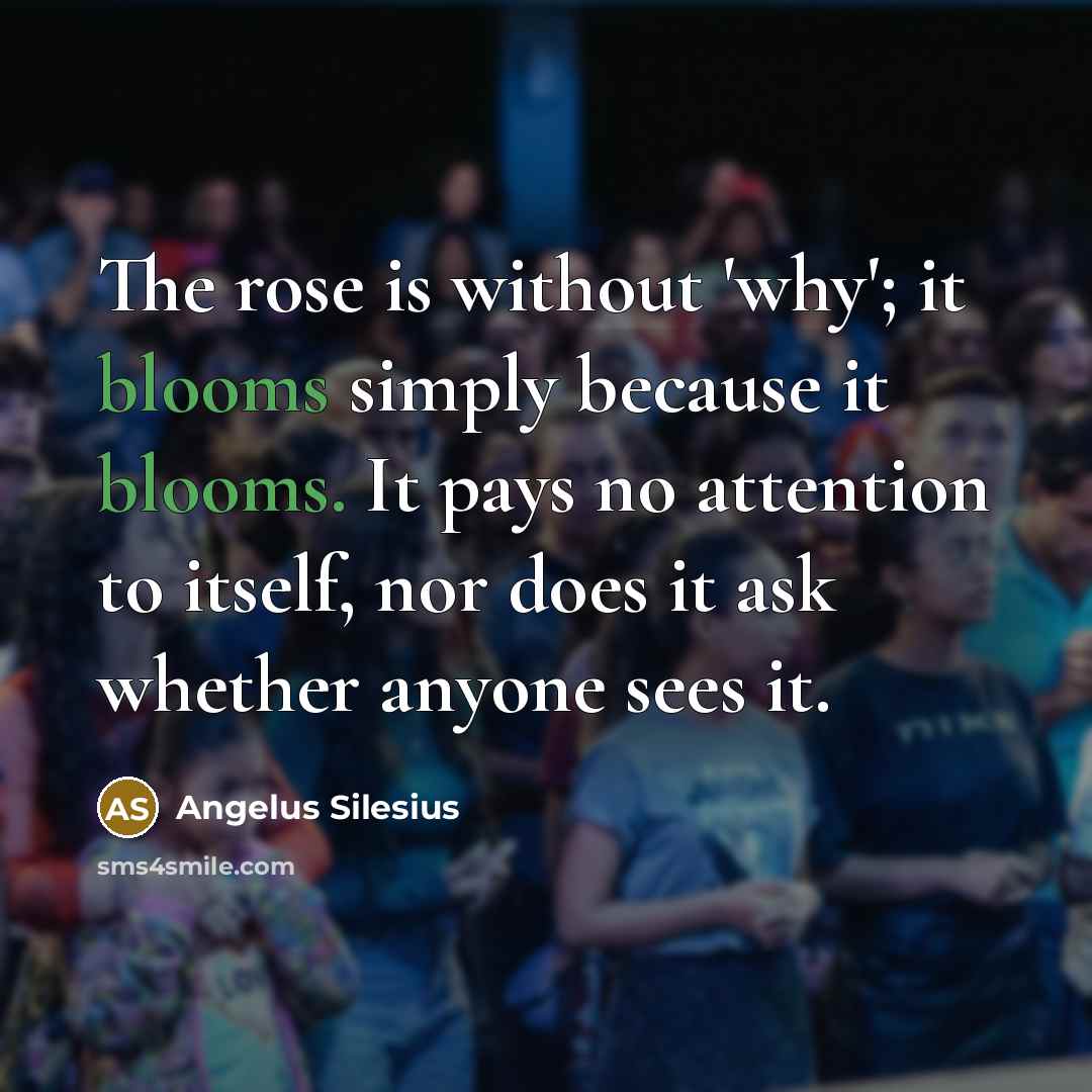 “The rose is without 'why'; it blooms simply because it blooms. It pays no attention to itself, nor does it ask whether anyone sees it.” quote by Angelus Silesius