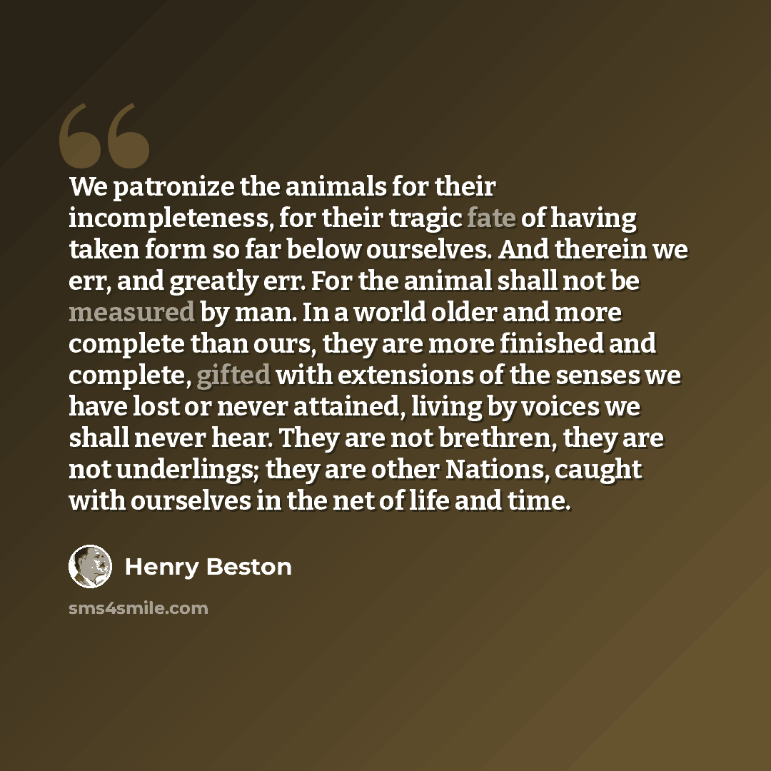 “We patronize the animals for their incompleteness, for their tragic fate of having taken form so far below ourselves. And therein we err, and greatly err. For the animal shall not be measured by man. In a world older and more complete than ours, they are more finished and complete, gifted with…” quote by Henry Beston