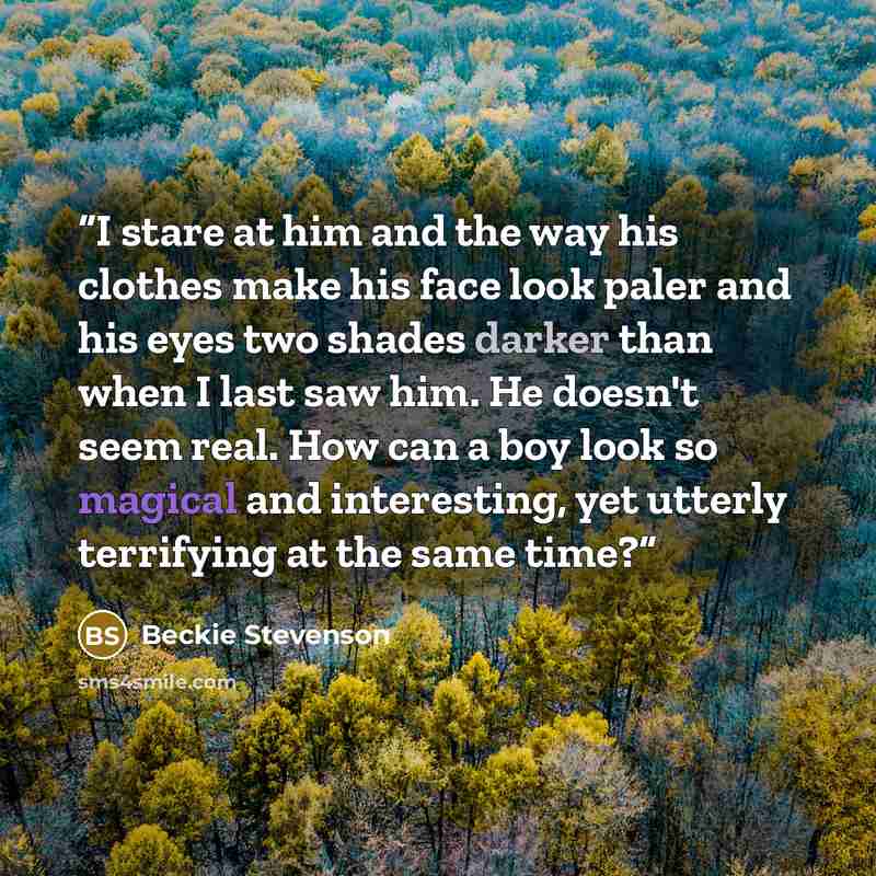 “I stare at him and the way his clothes make his face look paler and his eyes two shades darker than when I last saw him. He doesn't seem real. How can a boy look so magical and interesting, yet utterly terrifying at the same time?” quote by Beckie Stevenson