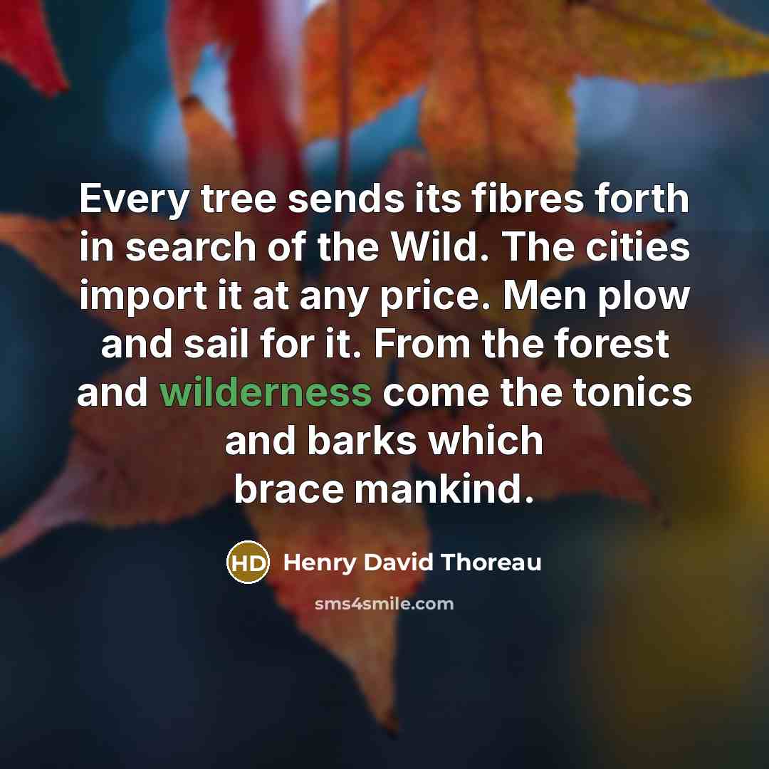 “Every tree sends its fibres forth in search of the Wild. The cities import it at any price. Men plow and sail for it. From the forest and wilderness come the tonics and barks which brace mankind.” quote by Henry David Thoreau