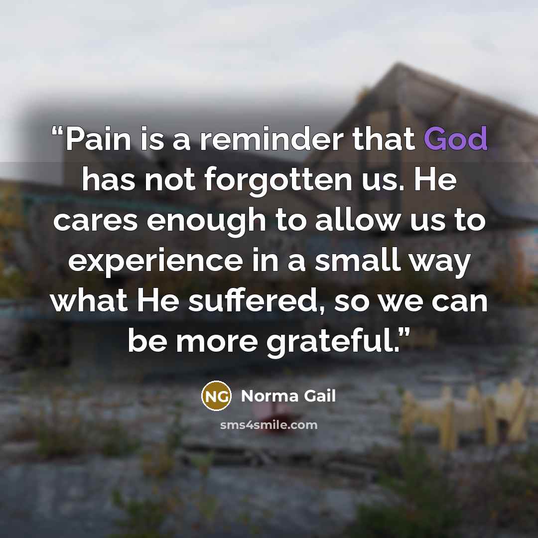 “Pain is a reminder that God has not forgotten us. He cares enough to allow us to experience in a small way what He suffered, so we can be more grateful.” quote by Norma Gail